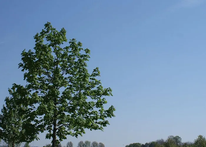 Zoechbauer Gaestehaus - Garni